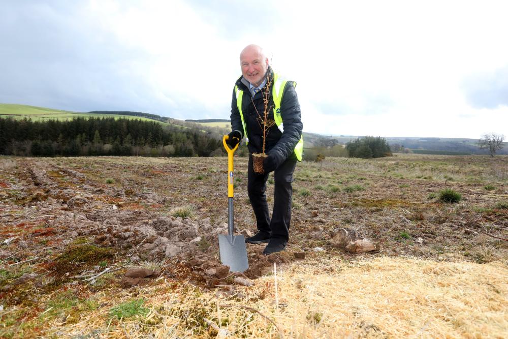 Selco CEO Howard Luft, Fourth Selco Forest