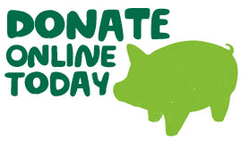 Donate To Macmillan Online