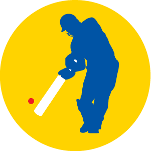 Cricketer icon