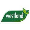 Westland