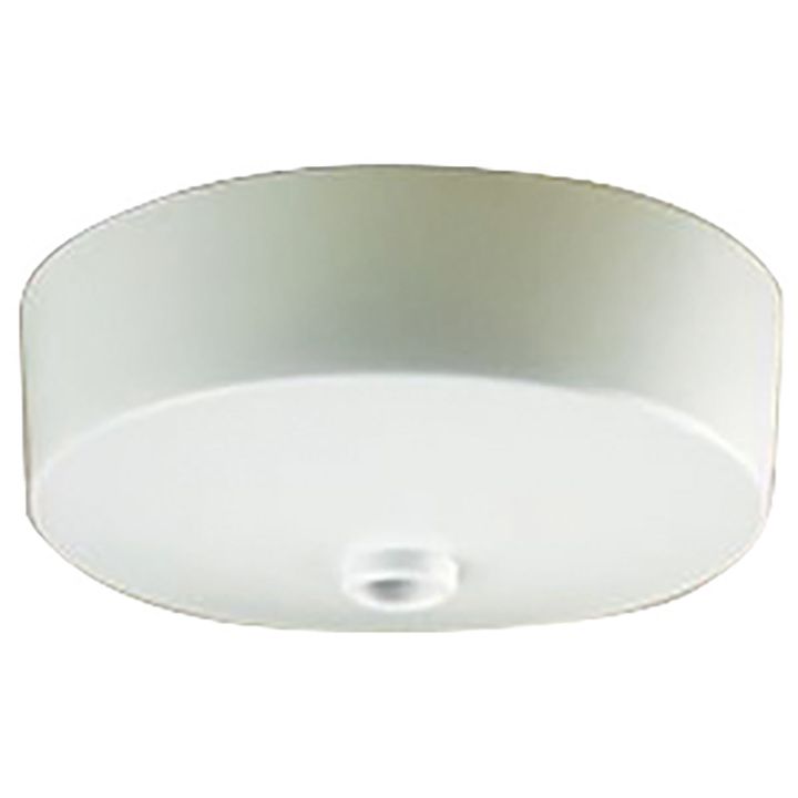 Ceiling Rose