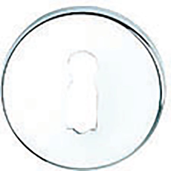 Keyhole Escutcheon Chrome Plated Pack 2
