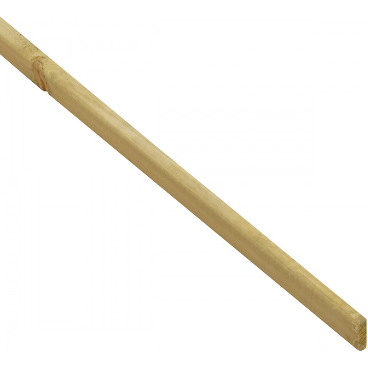 Sawn Firring 1EX 100 x 50 x 4200mm NOM FSC®