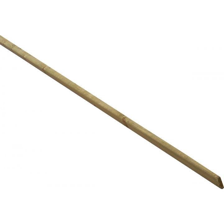 Sawn Firring 1EX 100 x 50 x 4200mm NOM FSC®