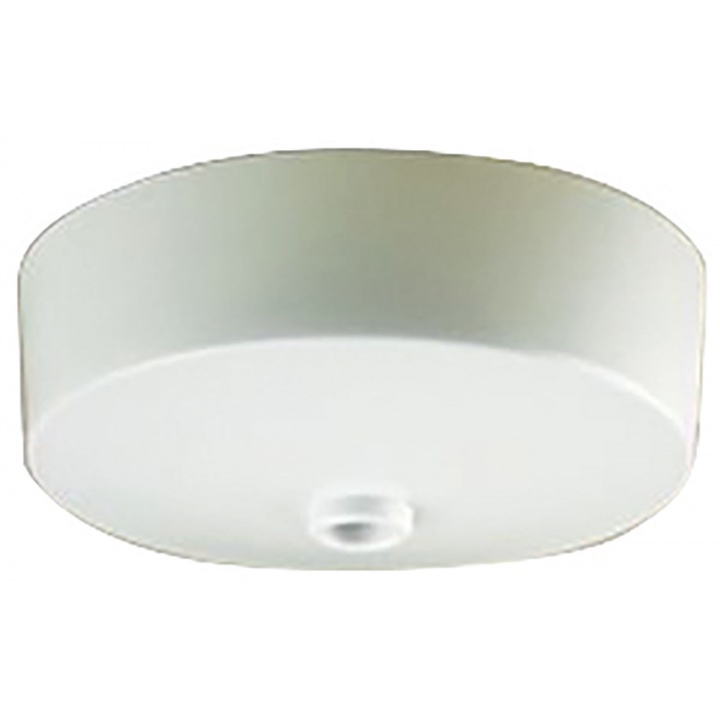 Ceiling Rose