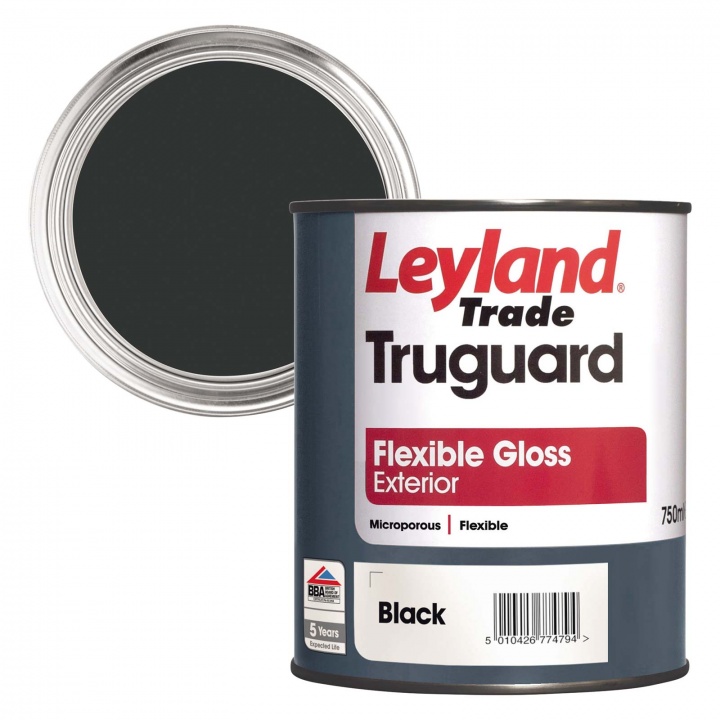 Leyland Truguard Flexible Exterior Gloss Black