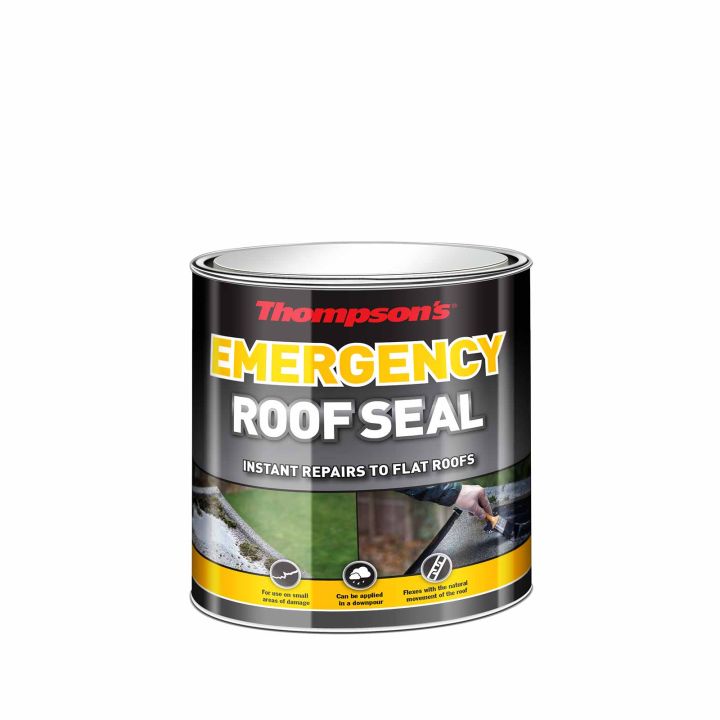 Thompsons Emergency Roof Seal All Weather 1L