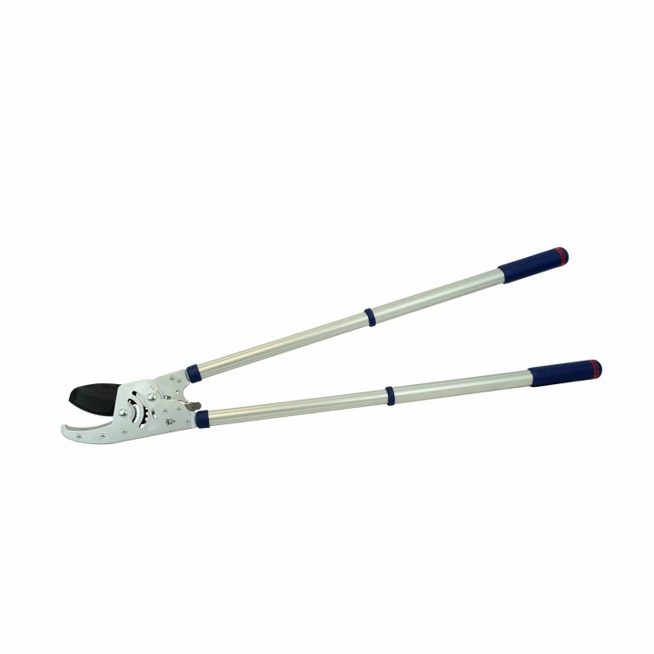 Razorsharp Heavy Duty Telescopic Ratchet Anvil Lopper