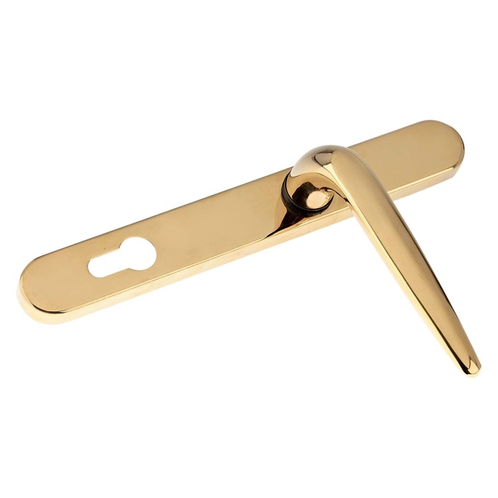 Yale Long Backplate Door Handle Gold