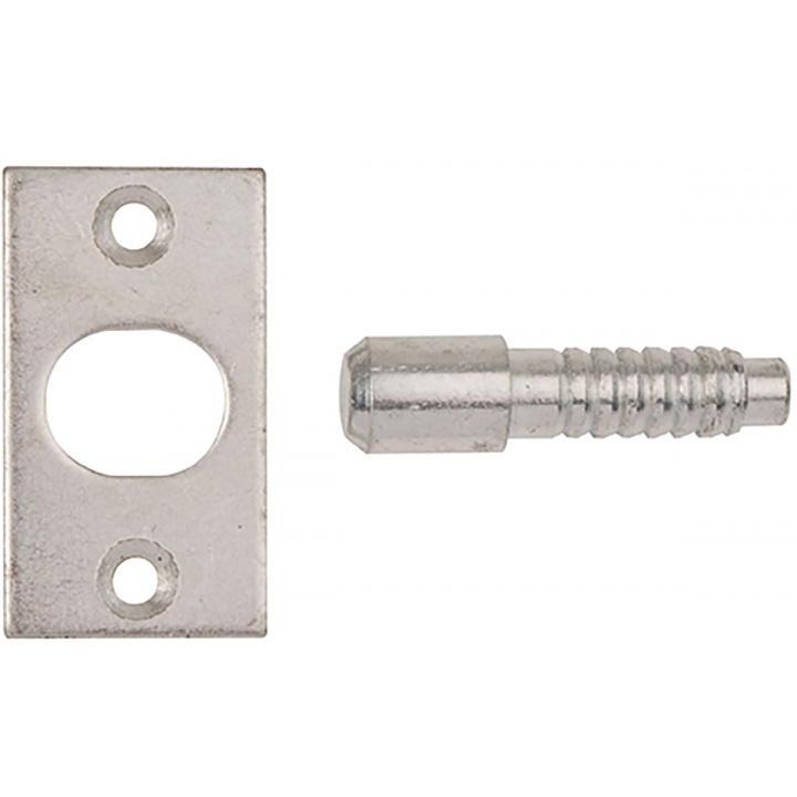 Hinge Bolts Bright Zinc Plated (Pack 2)