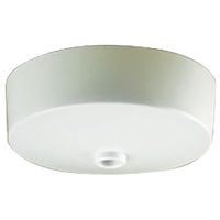 Ceiling Rose