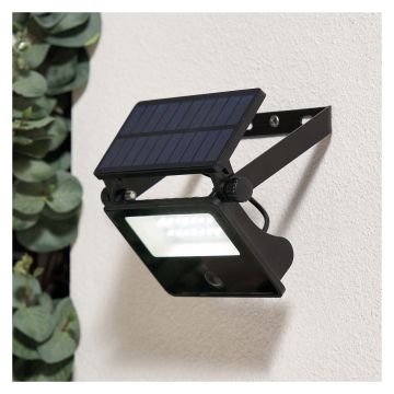 Zink Solar Powered PIR Security Light 220lm 2W 6000K