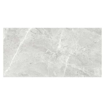 Regency Matt Grey Porcelain Wall & Floor Tile 300 x 600mm