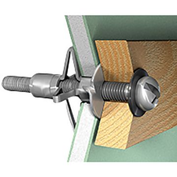 Rawlplug Interset & Screws M5 x 65mm Pack of 20