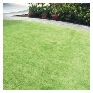 Luxigraze 30 Premium Artificial Grass Midi Roll 2m x 5m Covers 10m²