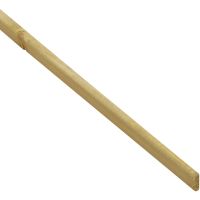 Sawn Firring 1EX 100 x 50 x 4200mm NOM FSC®