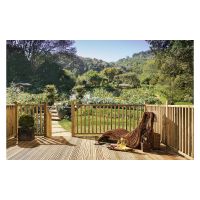 Decking Treated Deck Blank Spindle 41 x 41 x 895mm PEFC