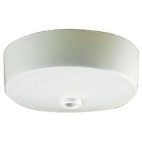Ceiling Rose