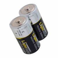 Lighthouse C Batteries Pk 2