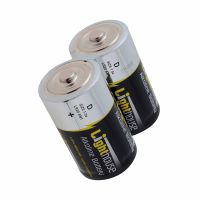 Lighthouse D Batteries Pk 2