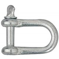 Dee Shackle