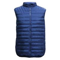 Padded Body Warmer Navy with Zip Front