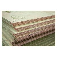DryGuard Water Repellent Plywood FSC®