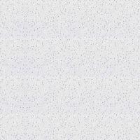 Planet Ceiling Tile 600 x 600mm Pack 20