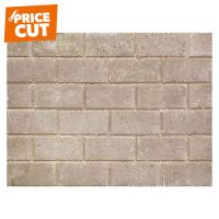 Pavedrive 50mm Natural Paver