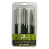 Luxigraze Artifiicial Grass Fixing Pins Pack of 10
