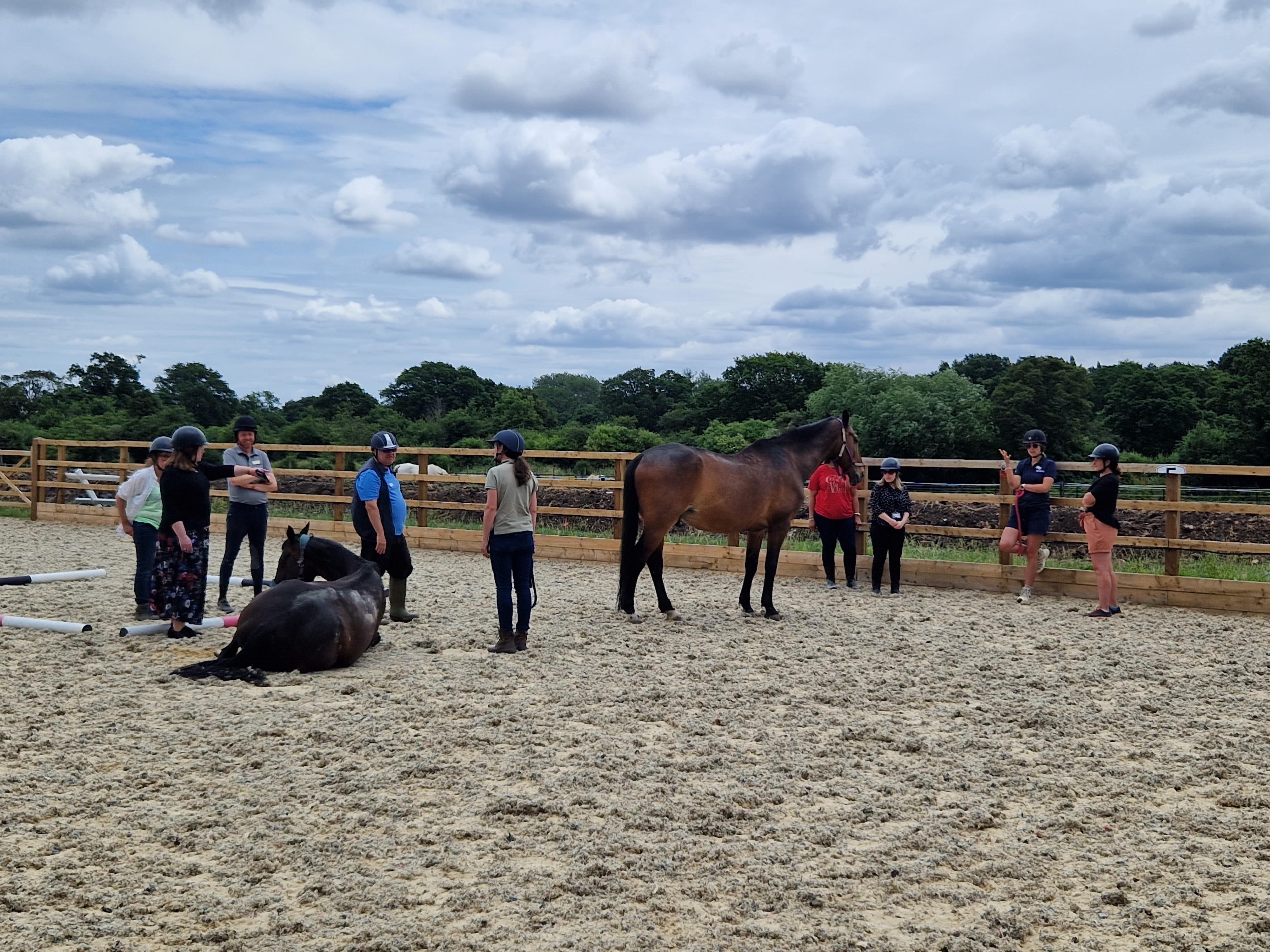 Strength and Learning Through Horses