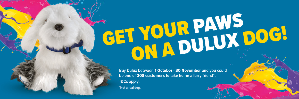 Get your paws on a Dulux dog competition giveaway