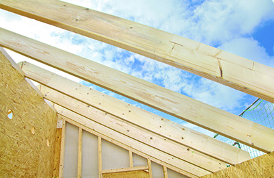 timber roof