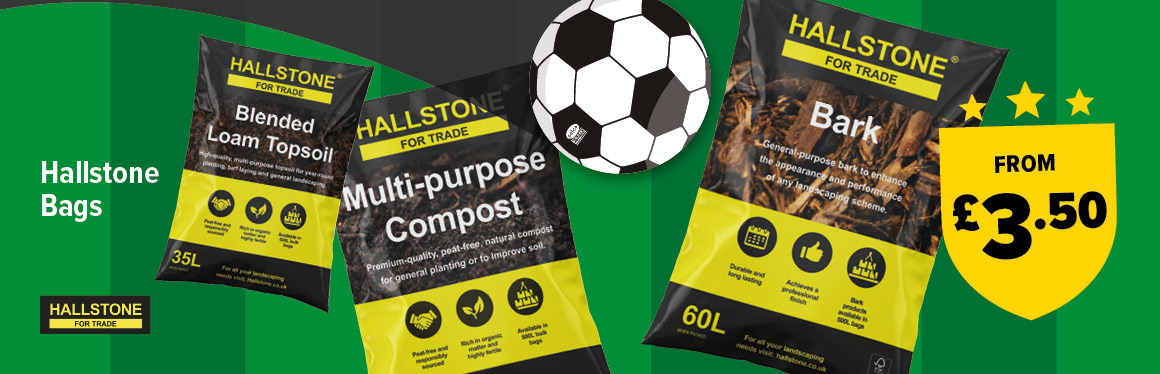 Hallstone Bags