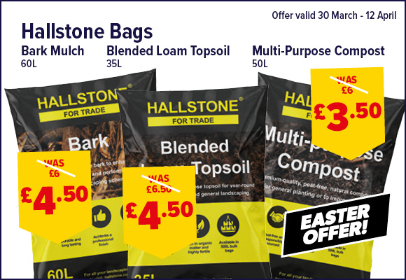 Hallstone Bags