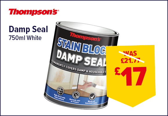Thompsons Damp Seal 750ml