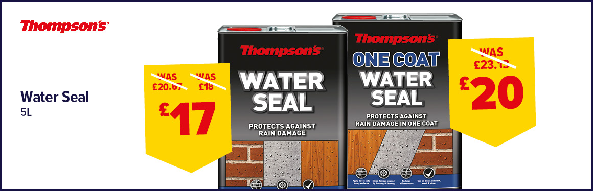 Thompsons Water Seal 5L 