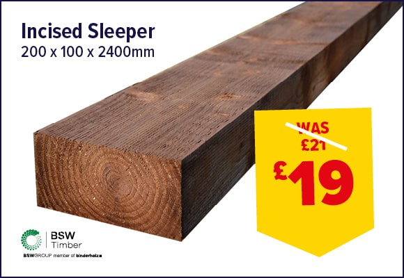 Incised Brown Sleeper
