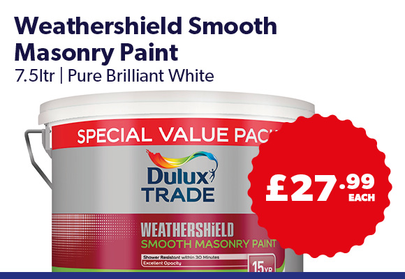 Smooth Masonry Paint