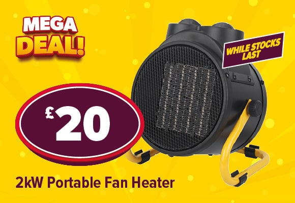 Portable Fan Heater