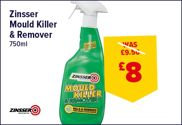 Mould Killer & Remover