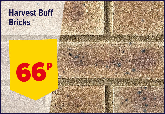 BRICK HARVEST BUFF MULTI