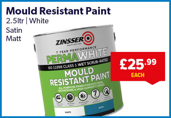 mould resistant paint